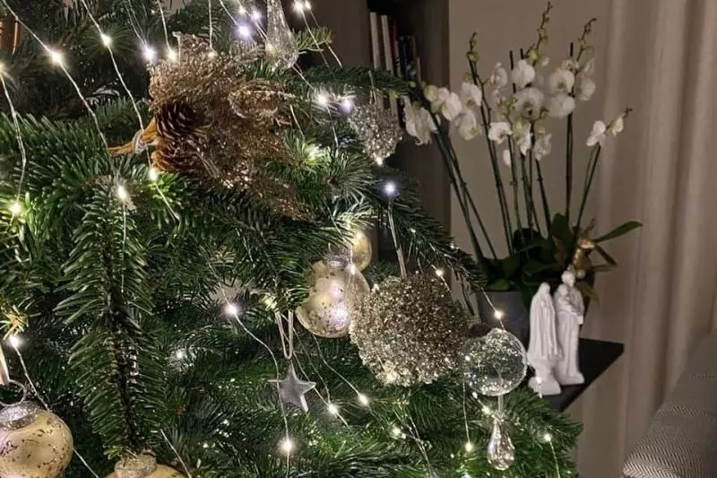 عکس؛ درخت کریسمس ژوزه مورینیو و پیام تبریکش
