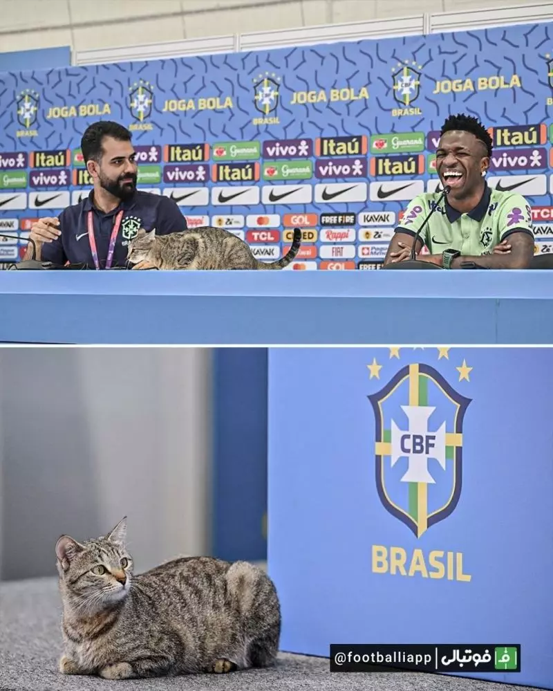 حضور یک گربه در نشست خبری وینیسیوس در جریان کنفرانس خبری پس از تمرین امروز تیم ملی برزیل و درحالی که وینیسیوس جونیور درحال صحبت با خبرنگاران بود، یک گربه وارد محل کنفرانس خبری شد که واکنش حاضران را در پی داشته باشد.